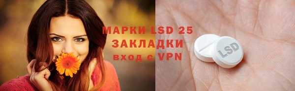 стафф Медногорск