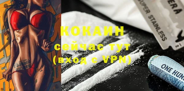 первитин Михайлов