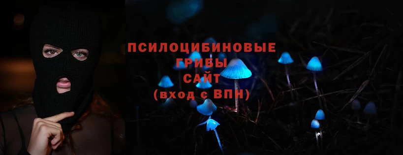 Псилоцибиновые грибы Psilocybine cubensis  Фролово 