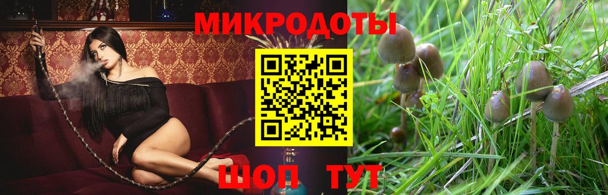 Фролово  Галлюциногенные грибы прущие грибы  Вход с VPN 